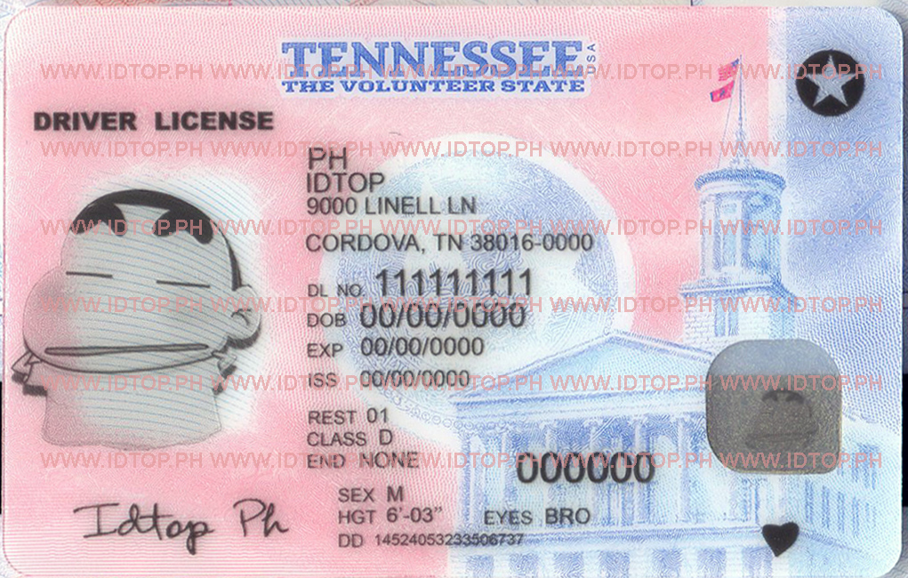 TENNESSEE-New