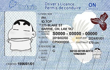 Canada  Ontario(CAN ON) - Premium Scannable ID