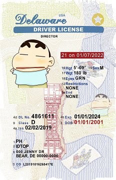 1.U21-DELAWARE - Premium Scannable ID