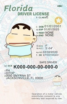 1.U21-FLORIDA - Premium Scannable ID