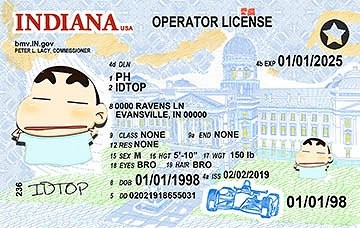INDIANA - Premium Scannable ID
