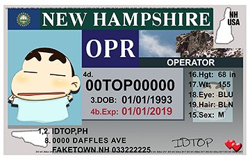 NEW HAMPSHIRE - Premium Scannable ID