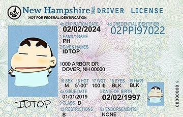 NEW HAMPSHIRE - Premium Scannable ID