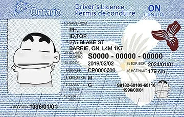 Medium Size Canada Canada Ontario(CAN ON) - High Quality Scannable ID