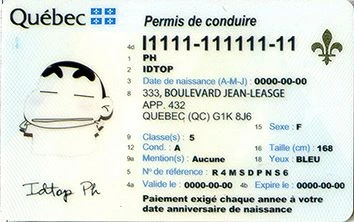 Medium Size Canada Quebec-Canada - High Quality Scannable ID