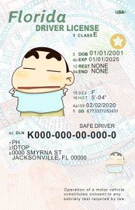 Medium Size United States 1.U21-FLORIDA - High Quality Scannable ID