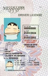 Medium Size United States 1.U21-MISSISSIPPI - High Quality Scannable ID