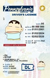 Medium Size United States 1.U21-PENNSYLVANIA - High Quality Scannable ID