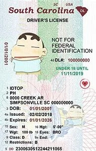 Medium Size United States 1.U21-SOUTH-CAROLINA - High Quality Scannable ID