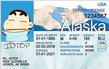 Medium Size United States ALASKA - High Quality Scannable ID