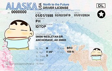 Medium Size United States ALASKA - High Quality Scannable ID