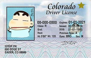 Medium Size United States COLORADO - High Quality Scannable ID