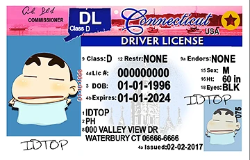 Medium Size United States CONNECTICUT - High Quality Scannable ID