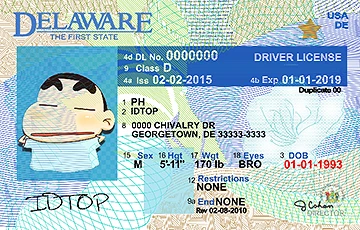 Medium Size United States DELAWARE - High Quality Scannable ID