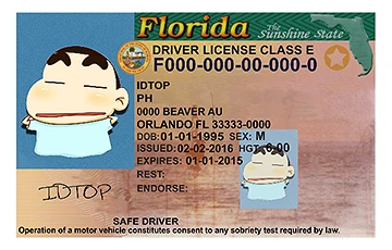 Medium Size United States FLORIDA - High Quality Scannable ID