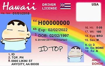 Medium Size United States HAWAII - High Quality Scannable ID