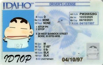 Medium Size United States IDAHO-2023 - High Quality Scannable ID