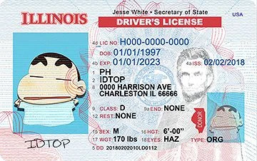 Medium Size United States ILLINOIS - High Quality Scannable ID