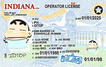 Medium Size United States INDIANA - High Quality Scannable ID