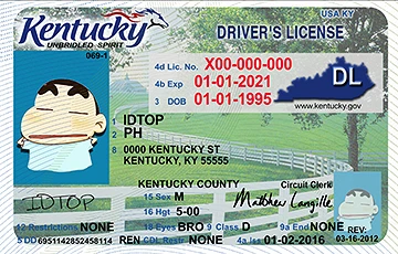 Medium Size United States KENTUCKY - High Quality Scannable ID