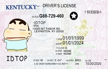 Medium Size United States KENTUCKY - High Quality Scannable ID