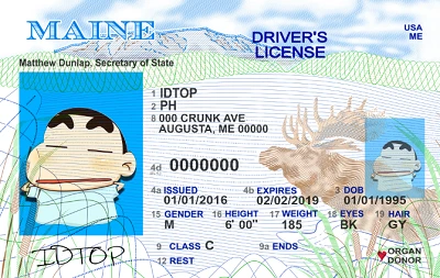 Medium Size United States MAINE - High Quality Scannable ID