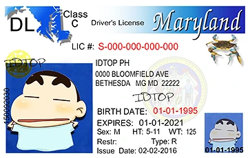 Medium Size United States MARYLAND - High Quality Scannable ID