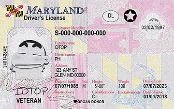 Medium Size United States MARYLAND - High Quality Scannable ID