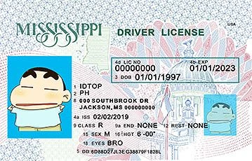 Medium Size United States MISSISSIPPI - High Quality Scannable ID