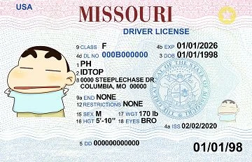 Medium Size United States MISSOURI - High Quality Scannable ID