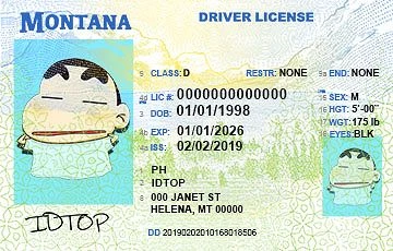Medium Size United States MONTANA - High Quality Scannable ID