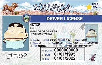 Medium Size United States NEVADA - High Quality Scannable ID