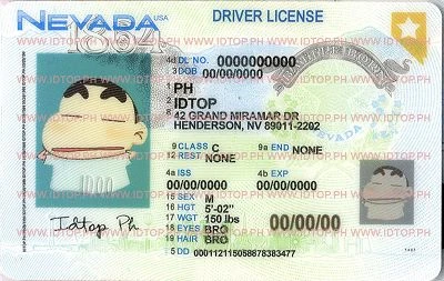 Medium Size United States NEVADA - High Quality Scannable ID