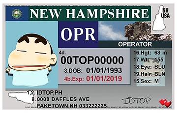 Medium Size United States NEW HAMPSHIRE - High Quality Scannable ID