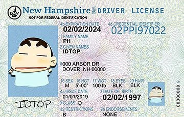 Medium Size United States NEW HAMPSHIRE - High Quality Scannable ID
