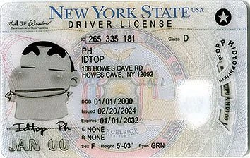 Medium Size United States New York State-New2024 - High Quality Scannable ID