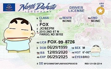 Medium Size United States North Dakota - High Quality Scannable ID