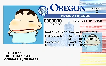 Medium Size United States OREGON - High Quality Scannable ID