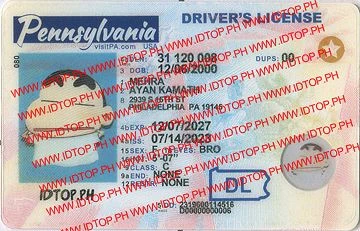 Medium Size United States PENNSYLVANIA - High Quality Scannable ID