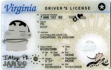 Medium Size United States Virginia-New2024 - High Quality Scannable ID