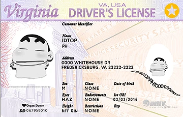 Medium Size United States VIRGINIA-Old - High Quality Scannable ID