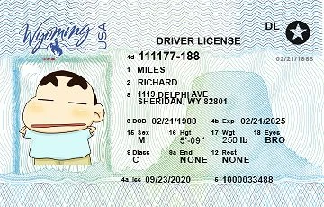 Medium Size United States WYOMING - High Quality Scannable ID
