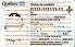 Small Size Canada Quebec-Canada - View 2 - High Quality Scannable ID