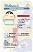 Medium Size United States 1.U21-DELAWARE - High Quality Scannable ID