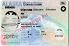 Small Size United States ALASKA - View 2 - High Quality Scannable ID
