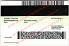 Small Size United States ARIZONA - View 3 - High Quality Scannable ID