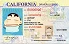 Medium Size United States CALIFORNIA - High Quality Scannable ID