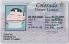 Small Size United States COLORADO - View 2 - High Quality Scannable ID