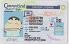 Small Size United States Connecticut - View 2 - High Quality Scannable ID