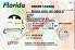 Small Size United States FLORIDA - View 2 - High Quality Scannable ID